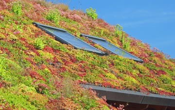 Merridge living roof systems